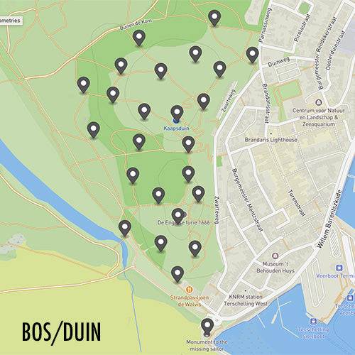 Speurtocht Terschelling BOS/DUIN