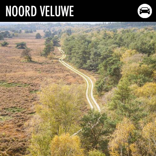 Autospeutocht Noord Veluwe