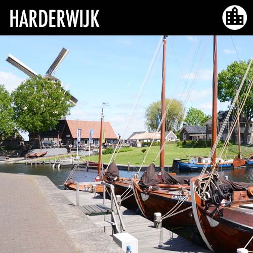 speurtocht harderwijk